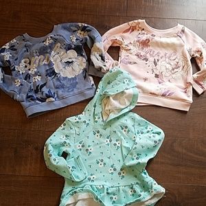 3-  2t sweat shirts